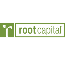 root-capital-handicap-international